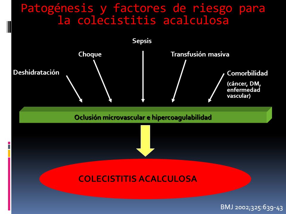 Patogénesis y factores de riesgo para la colecistitis acalculosa
