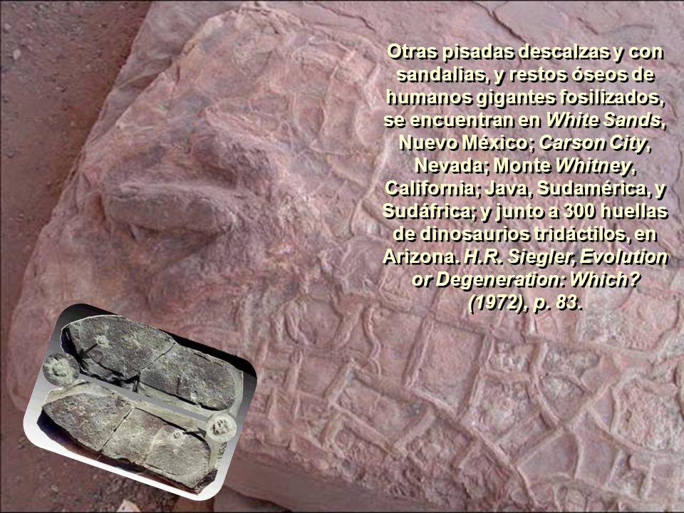 Otras pisadas descalzas y con sandalias, y restos óseos de humanos gigantes fosilizados, se encuentran en White Sands, Nuevo México; Carson City, Nevada; Monte Whitney, California; Java, Sudamérica, y Sudáfrica; y junto a 300 huellas de dinosaurios tridáctilos, en Arizona.