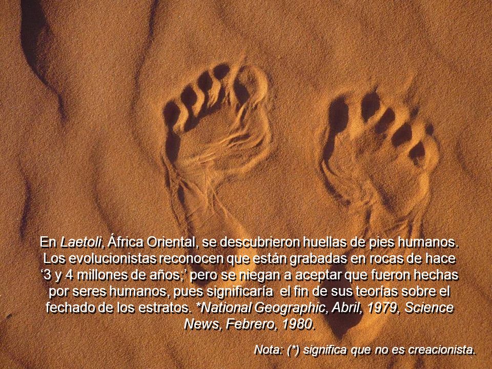 En Laetoli, África Oriental, se descubrieron huellas de pies humanos