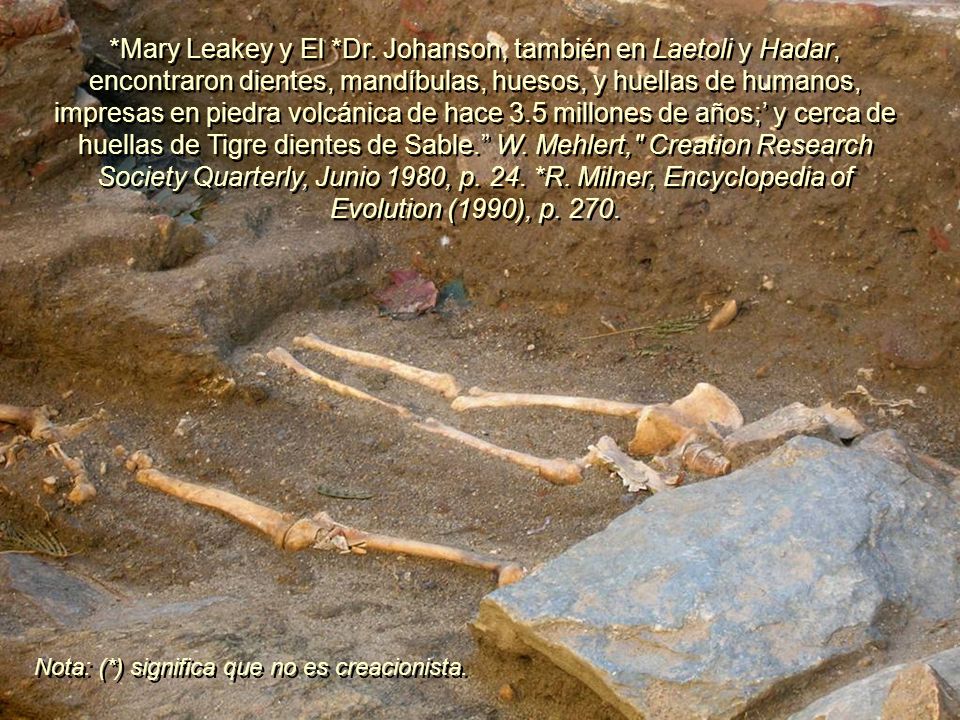 *Mary Leakey y El *Dr. Johanson, también en Laetoli y Hadar, encontraron dientes, mandíbulas, huesos, y huellas de humanos, impresas en piedra volcánica de hace 3.5 millones de años;’ y cerca de huellas de Tigre dientes de Sable. W. Mehlert, Creation Research Society Quarterly, Junio 1980, p. 24. *R. Milner, Encyclopedia of Evolution (1990), p. 270.