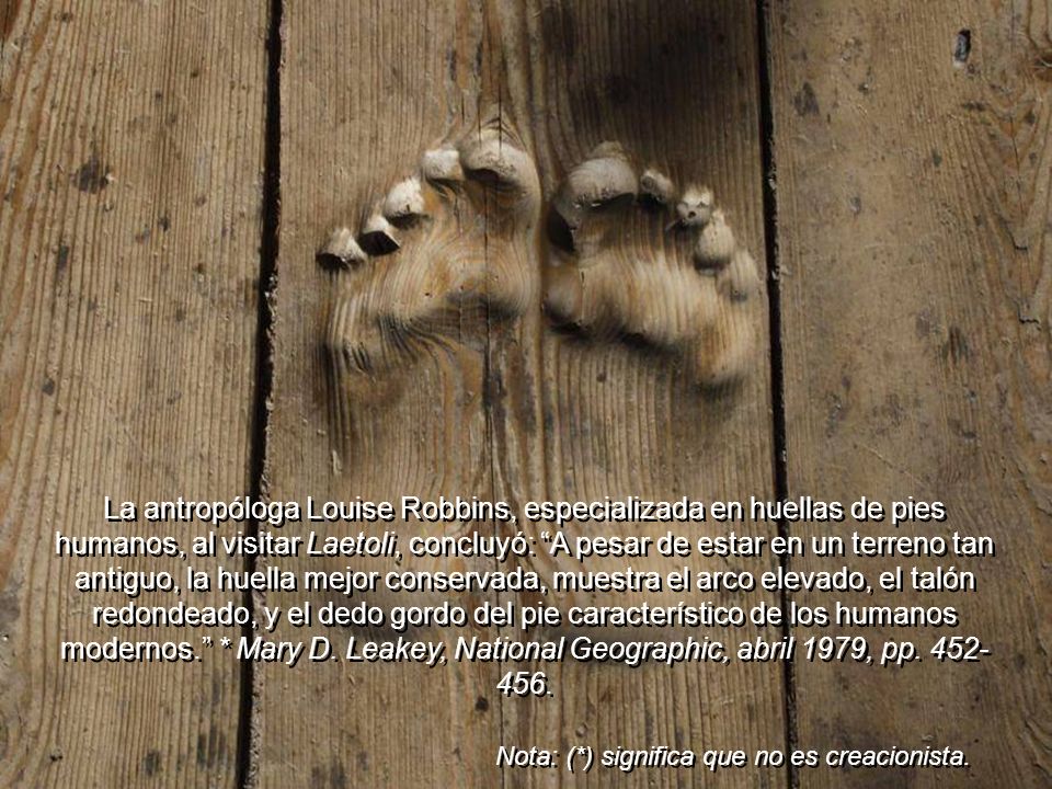 La antropóloga Louise Robbins, especializada en huellas de pies humanos, al visitar Laetoli, concluyó: A pesar de estar en un terreno tan antiguo, la huella mejor conservada, muestra el arco elevado, el talón redondeado, y el dedo gordo del pie característico de los humanos modernos. * Mary D. Leakey, National Geographic, abril 1979, pp