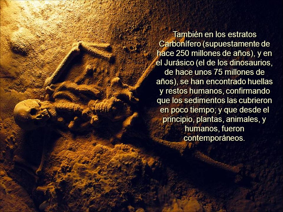 También en los estratos Carbonífero (supuestamente de hace 250 millones de años), y en el Jurásico (el de los dinosaurios, de hace unos 75 millones de años), se han encontrado huellas y restos humanos, confirmando que los sedimentos las cubrieron en poco tiempo; y que desde el principio, plantas, animales, y humanos, fueron contemporáneos.