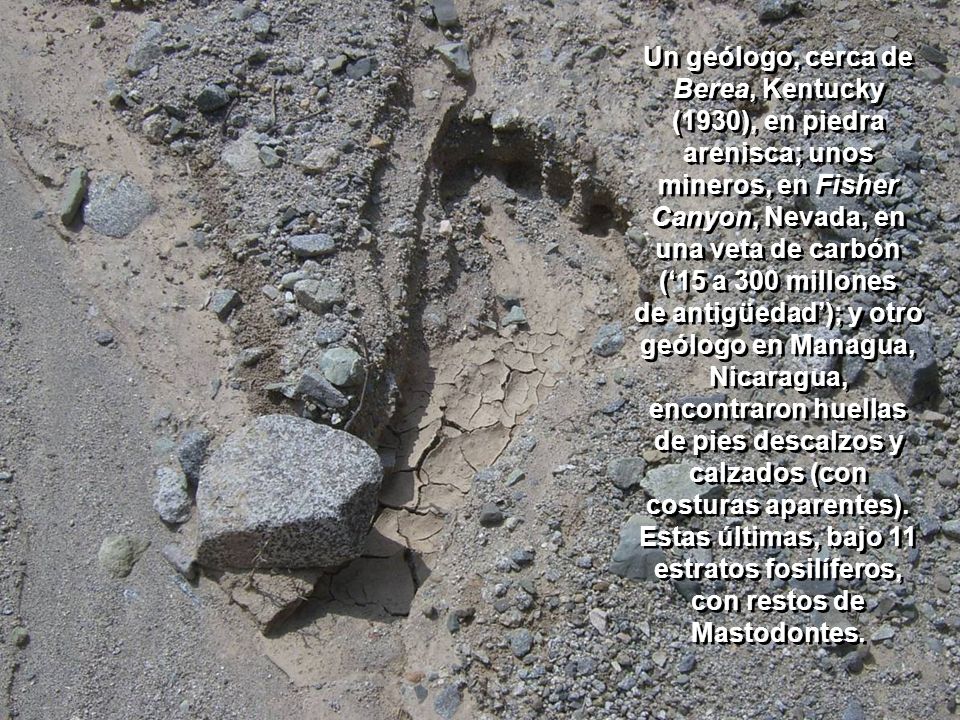 Un geólogo, cerca de Berea, Kentucky (1930), en piedra arenisca; unos mineros, en Fisher Canyon, Nevada, en una veta de carbón (‘15 a 300 millones de antigüedad’); y otro geólogo en Managua, Nicaragua, encontraron huellas de pies descalzos y calzados (con costuras aparentes).