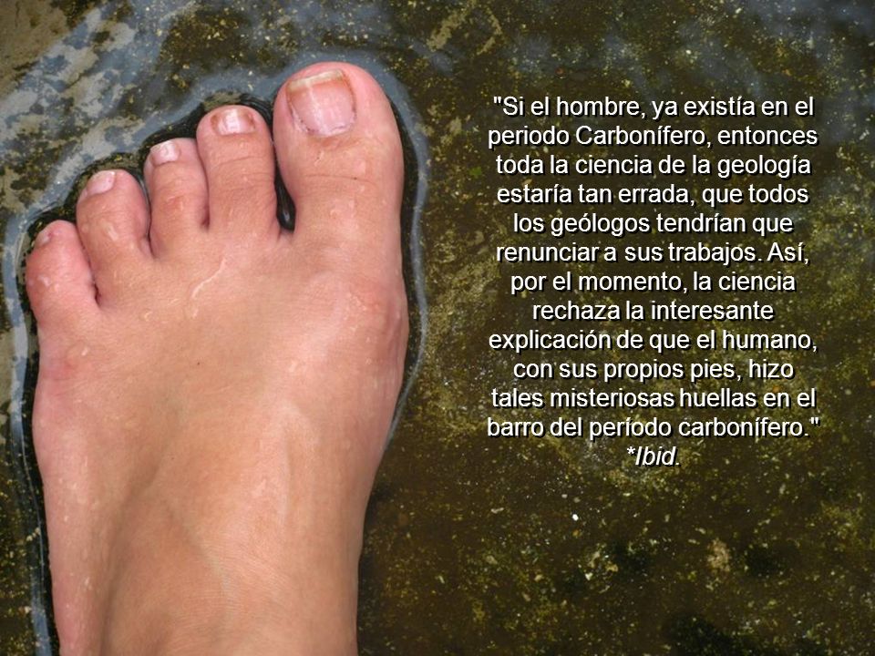 Si el hombre, ya existía en el periodo Carbonífero, entonces toda la ciencia de la geología estaría tan errada, que todos los geólogos tendrían que renunciar a sus trabajos.