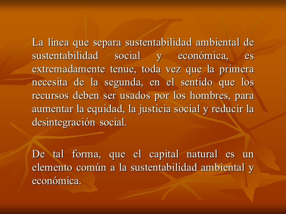 La línea que separa sustentabilidad ambiental de sustentabilidad social y económica, es extremadamente tenue, toda vez que la primera necesita de la segunda, en el sentido que los recursos deben ser usados por los hombres, para aumentar la equidad, la justicia social y reducir la desintegración social.