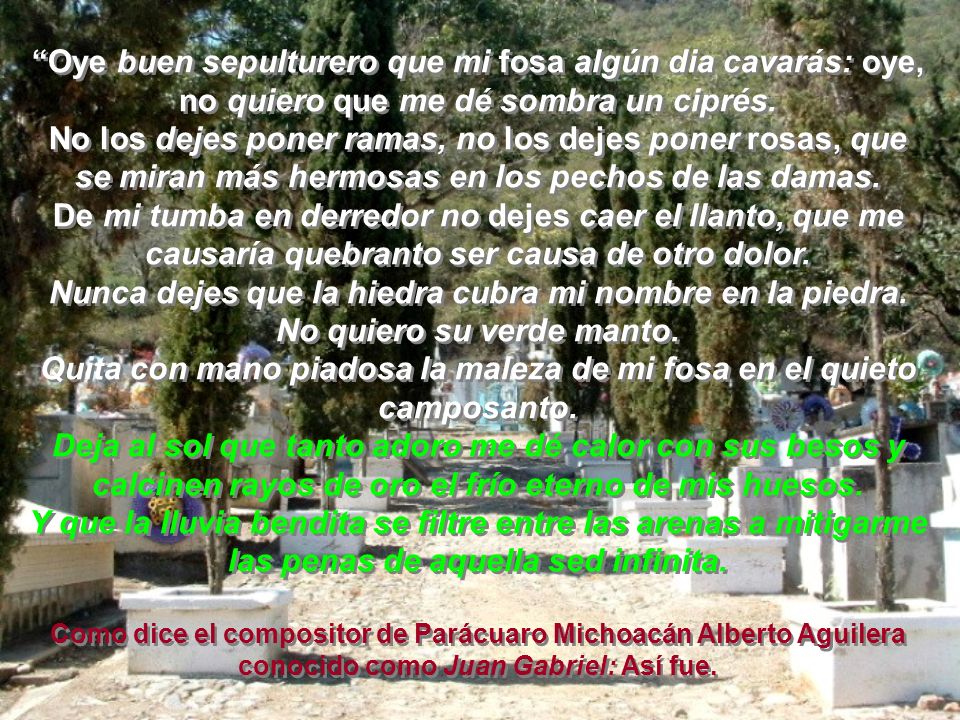 Nunca dejes que la hiedra cubra mi nombre en la piedra.