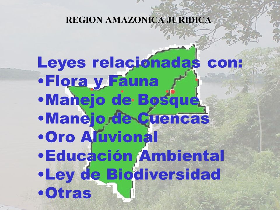 Leyes relacionadas con: Flora y Fauna Manejo de Bosque