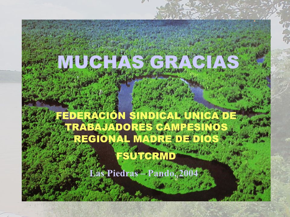 MUCHAS GRACIAS FEDERACIÓN SINDICAL UNICA DE TRABAJADORES CAMPESINOS REGIONAL MADRE DE DIOS. FSUTCRMD.