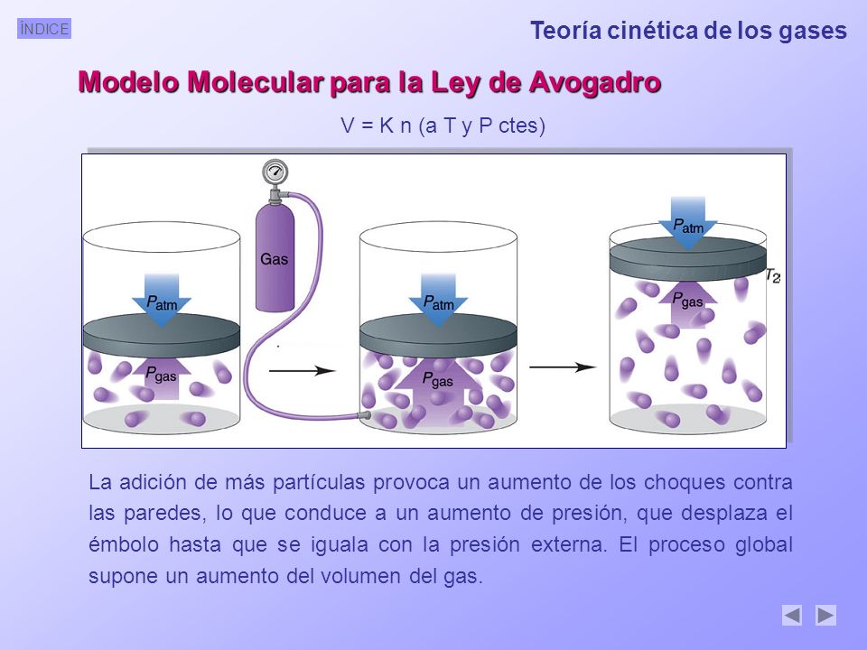 Modelo Molecular para la Ley de Avogadro