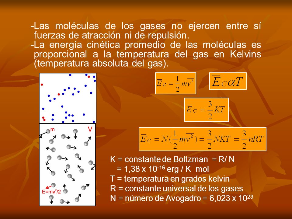 -Las moléculas de los gases no ejercen entre sí fuerzas de atracción ni de repulsión.