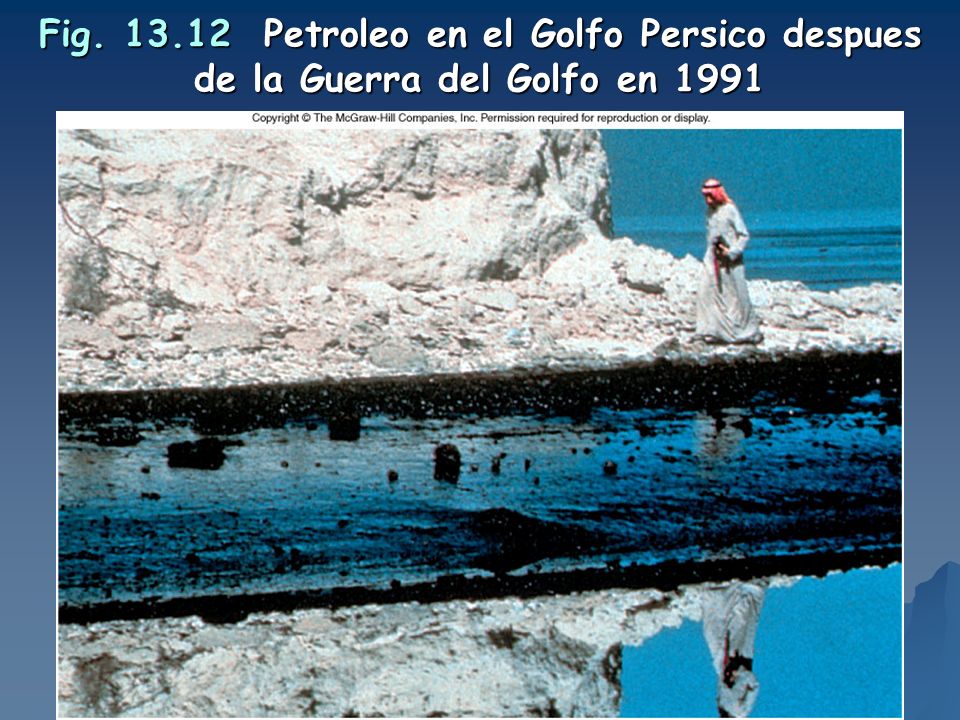 Fig Petroleo en el Golfo Persico despues de la Guerra del Golfo en 1991