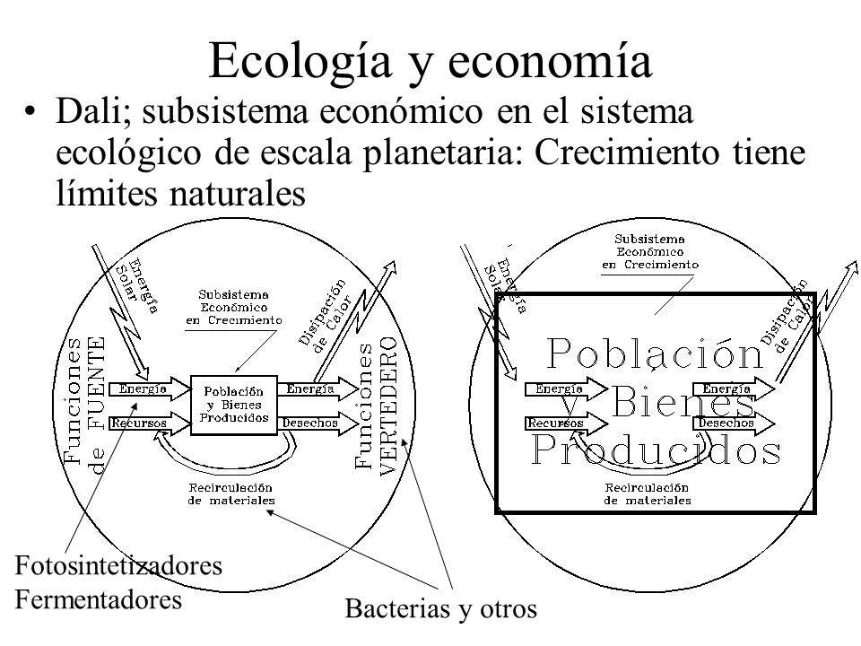 Ecología y economía Dali; subsistema económico en el sistema ecológico de escala planetaria: Crecimiento tiene límites naturales.