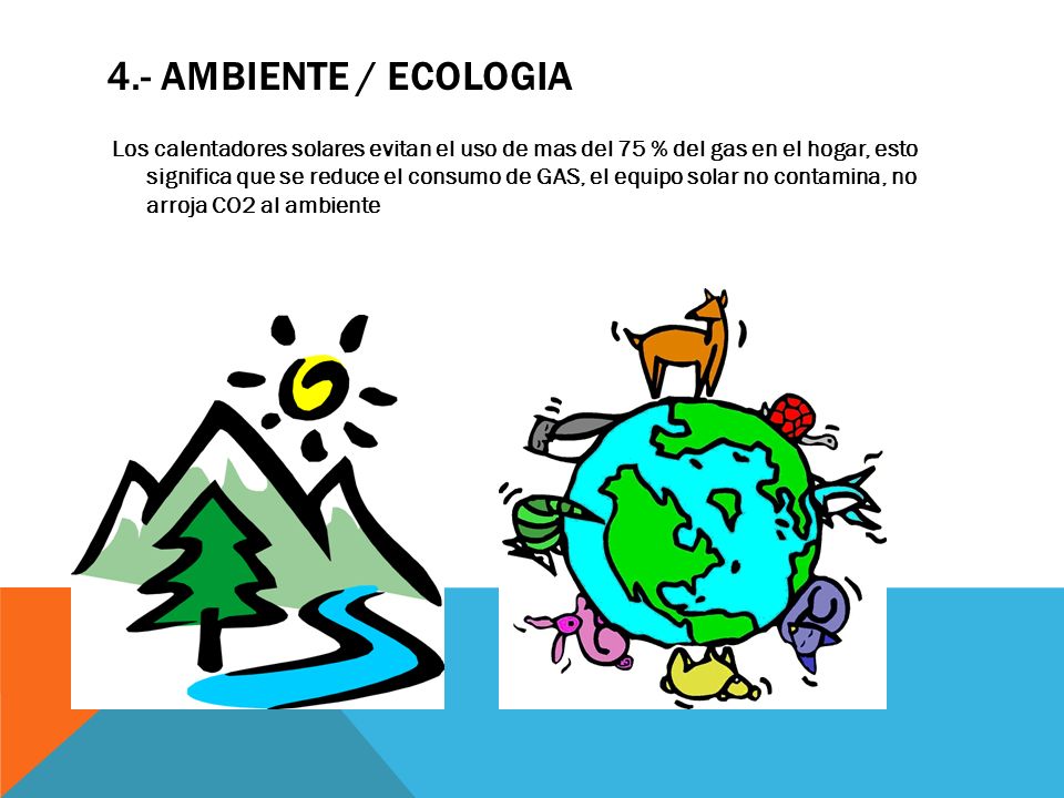 4.- AMBIENTE / ECOLOGIA