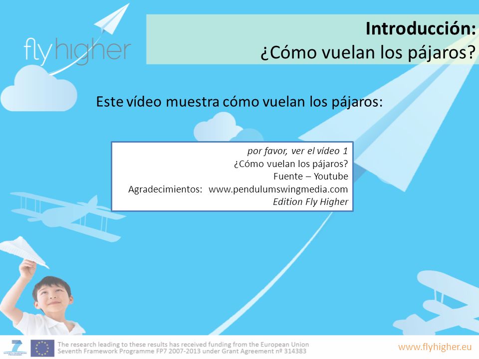Este vídeo muestra cómo vuelan los pájaros: