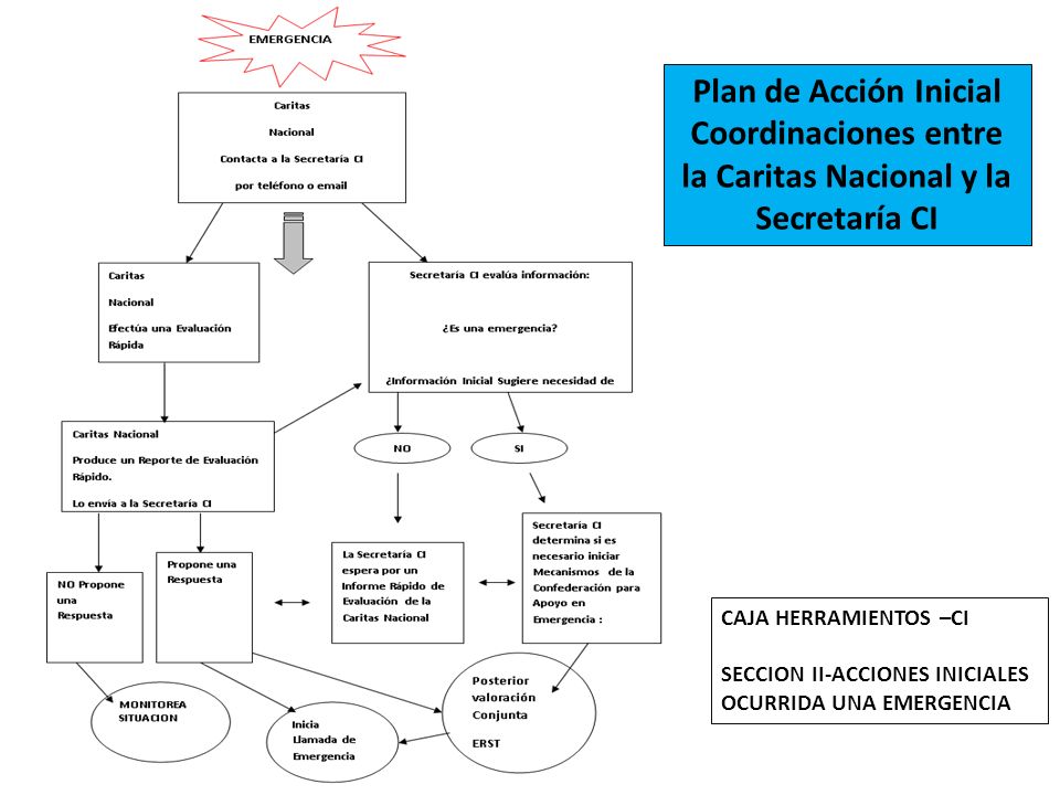 Coordinaciones entre la Caritas Nacional y la Secretaría CI