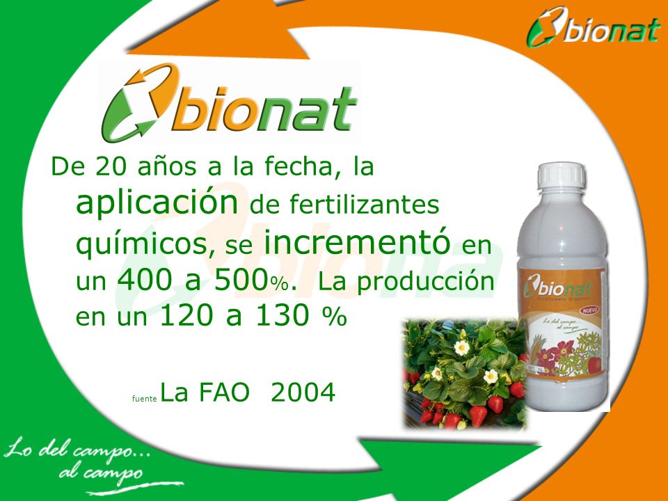 De 20 años a la fecha, la aplicación de fertilizantes químicos, se incrementó en un 400 a 500%. La producción en un 120 a 130 %