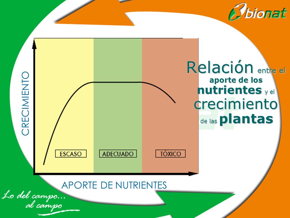 Relación entre el aporte de los nutrientes y el crecimiento de las plantas