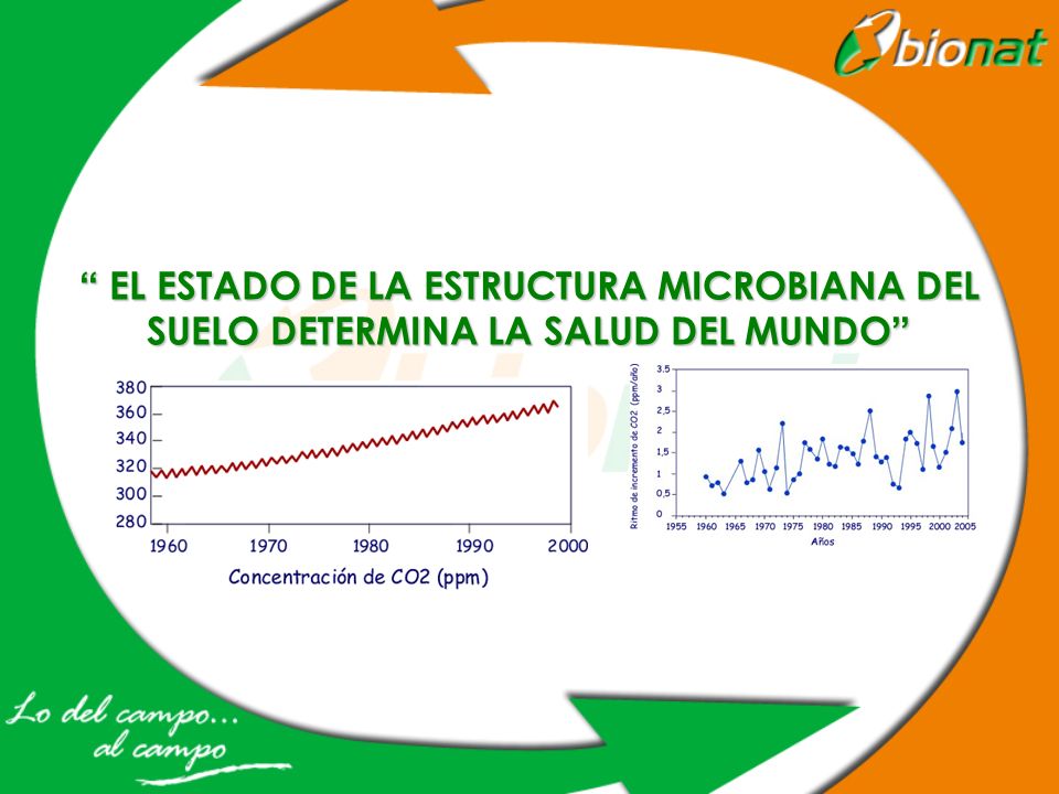 EL ESTADO DE LA ESTRUCTURA MICROBIANA DEL SUELO DETERMINA LA SALUD DEL MUNDO