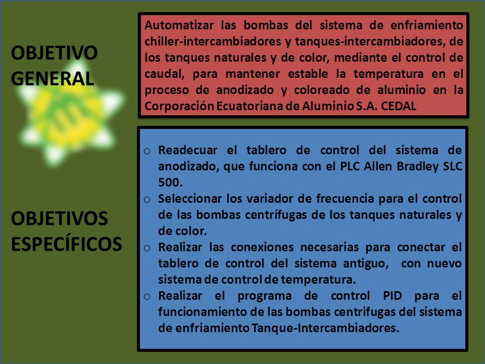 OBJETIVOS ESPECÍFICOS