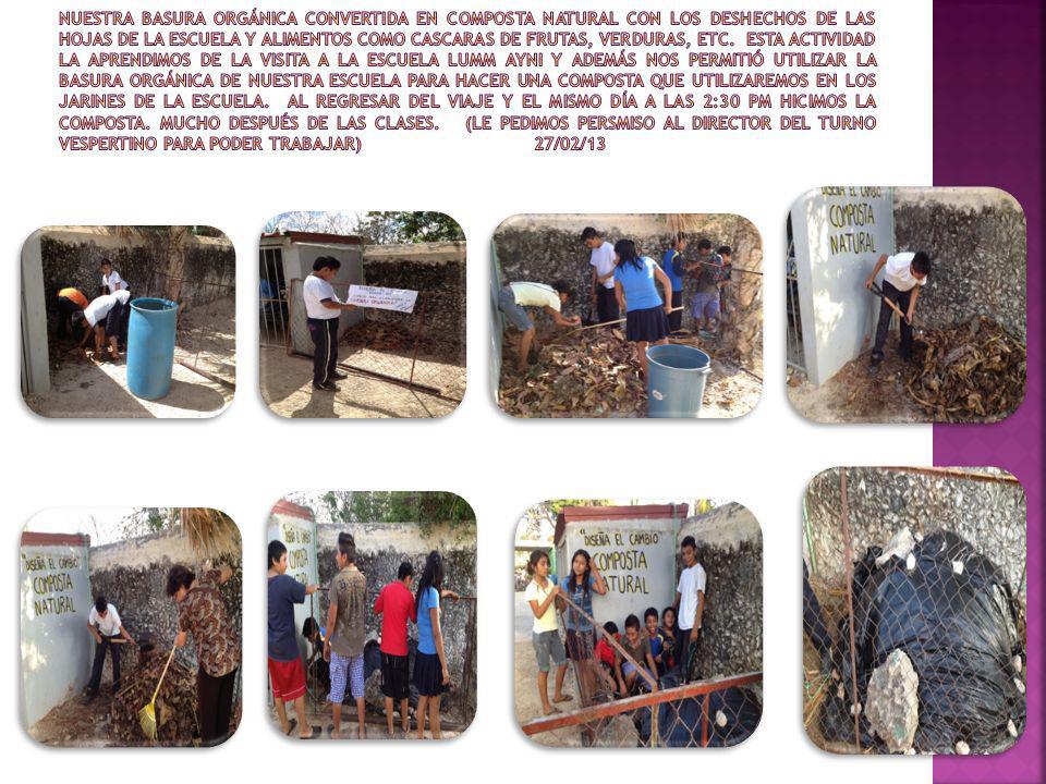 NUESTRA BASURA ORGÁNICA CONVERTIDA EN COMPOSTA NATURAL CON LOS DESHECHOS DE LAS HOJAS DE LA ESCUELA y alimentos como cascaras de frutas, verduras, etc.