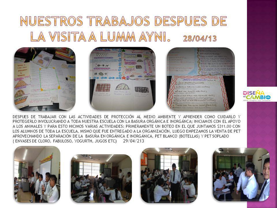 NUESTROS TRABAJOS DESPUES DE LA VISITA A LUMM AYNI. 28/04/13