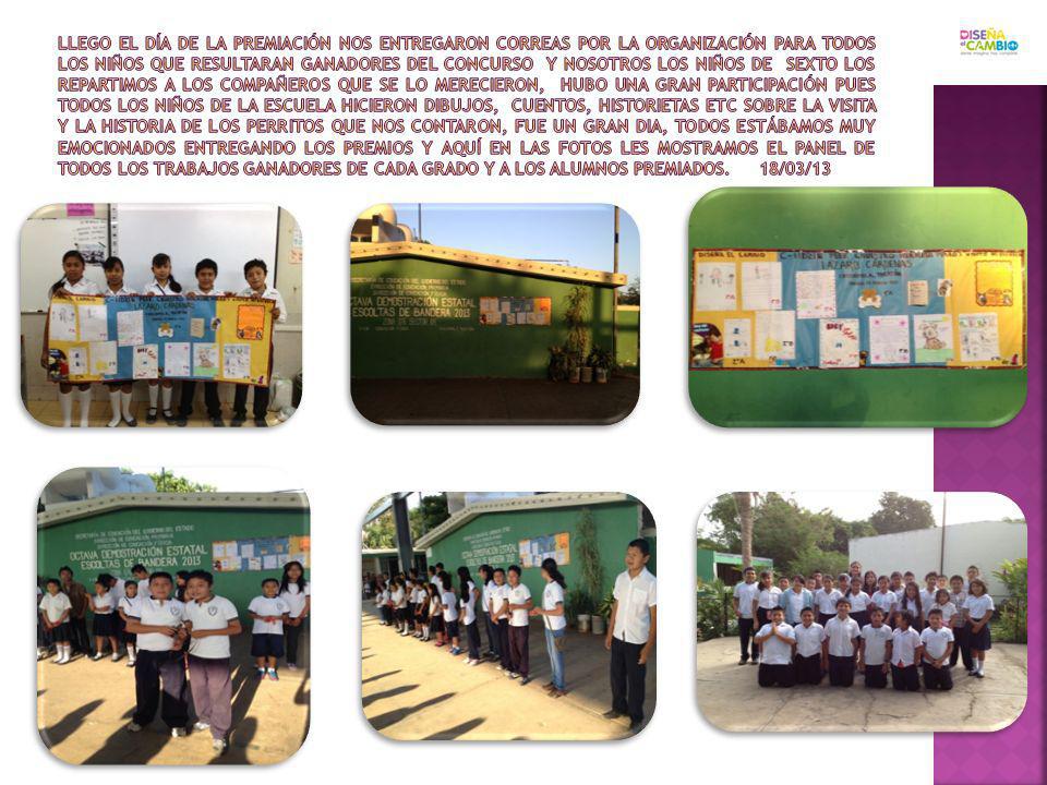 LLEGO EL DÍA DE LA PREMIACIÓN NOS ENTREGARON CORREAS POR LA ORGANIZACIÓN PARA TODOS LOS NIÑOS QUE RESULTARAN GANADORES DEL CONCURSO Y NOSOTROS LOS NIÑOS DE SEXTO LOS REPARTIMOS A LOS COMPAÑEROS QUE SE LO MERECIERON, HUBO UNA GRAN PARTICIPACIÓN PUES TODOS LOS NIÑOS DE LA ESCUELA HICIERON DIBUJOS, CUENTOS, HISTORIETAS ETC SOBRE LA VISITA Y LA HISTORIA DE LOS PERRITOS QUE NOS CONTARON, FUE UN GRAN DIA, TODOS ESTÁBAMOS MUY EMOCIONADOS ENTREGANDO LOS PREMIOS Y AQUÍ EN LAS FOTOS LES MOSTRAMOS EL PANEL DE TODOS LOS TRABAJOS GANADORES DE CADA GRADO Y A LOS ALUMNOS PREMIADOS.