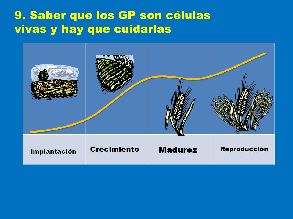 9. Saber que los GP son células vivas y hay que cuidarlas
