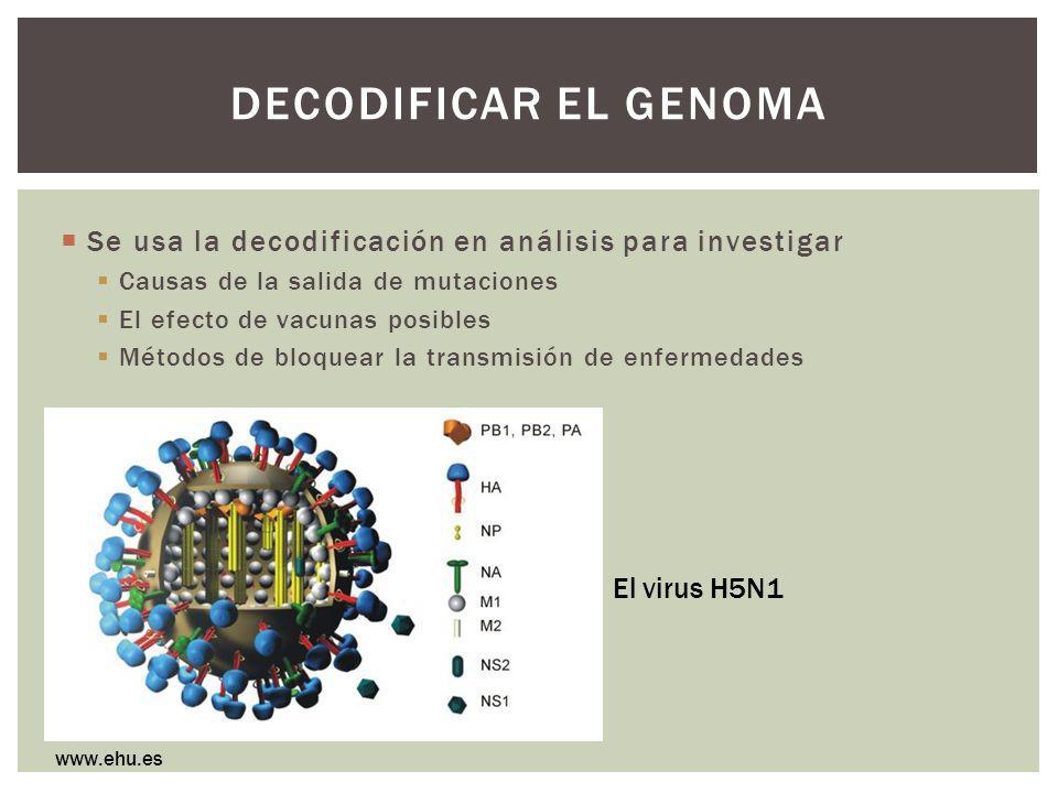 Decodificar el genoma Se usa la decodificación en análisis para investigar. Causas de la salida de mutaciones.