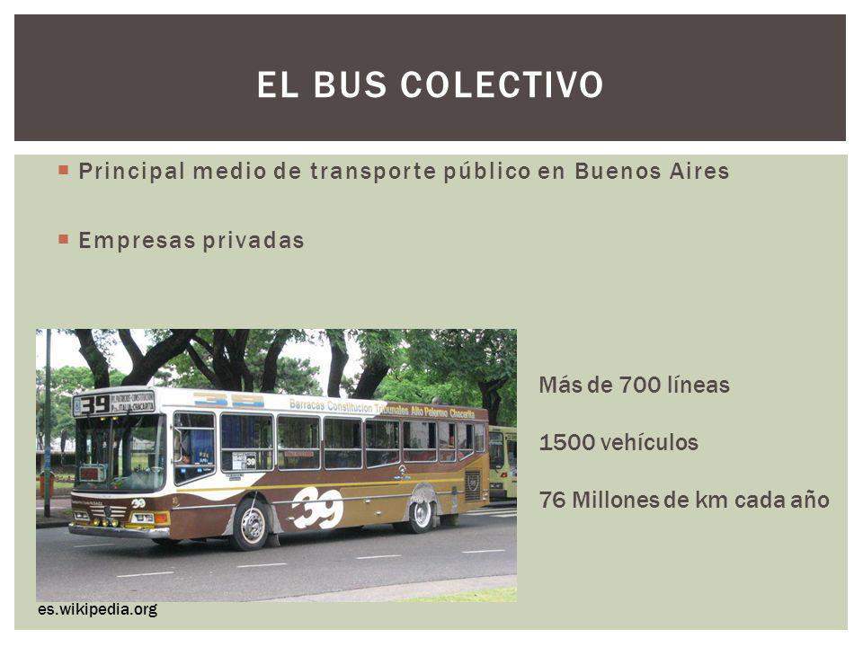 El bus colectivo Principal medio de transporte público en Buenos Aires