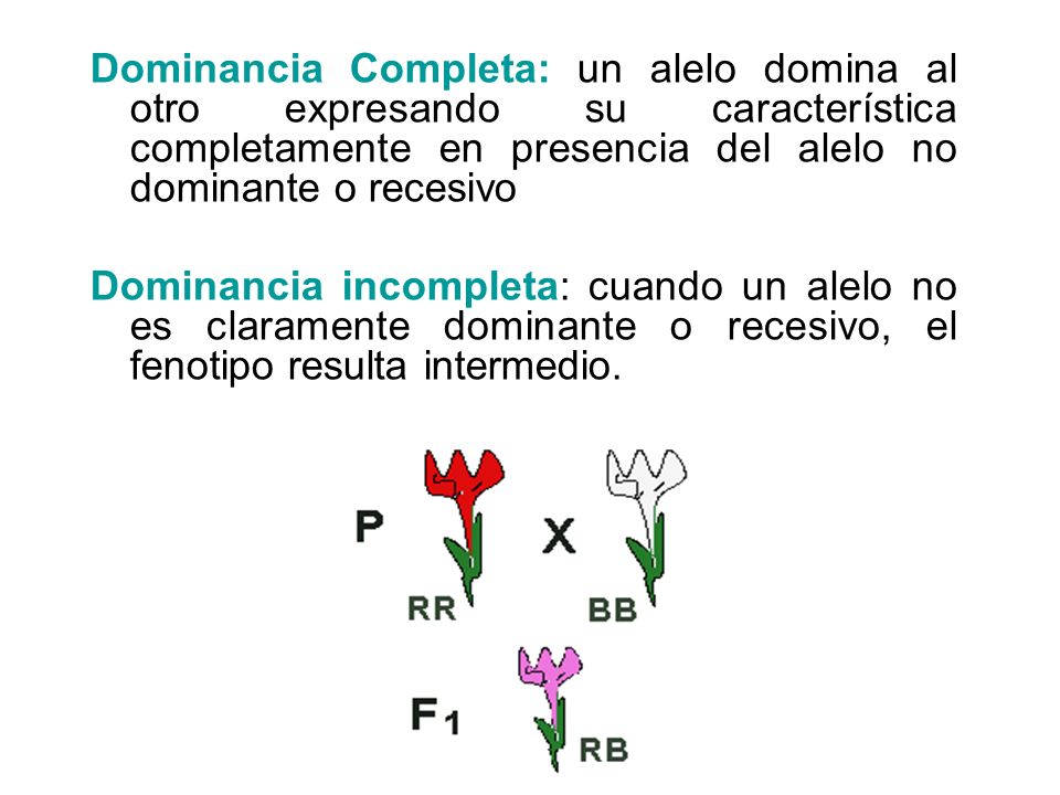 Dominancia Completa: un alelo domina al otro expresando su característica completamente en presencia del alelo no dominante o recesivo