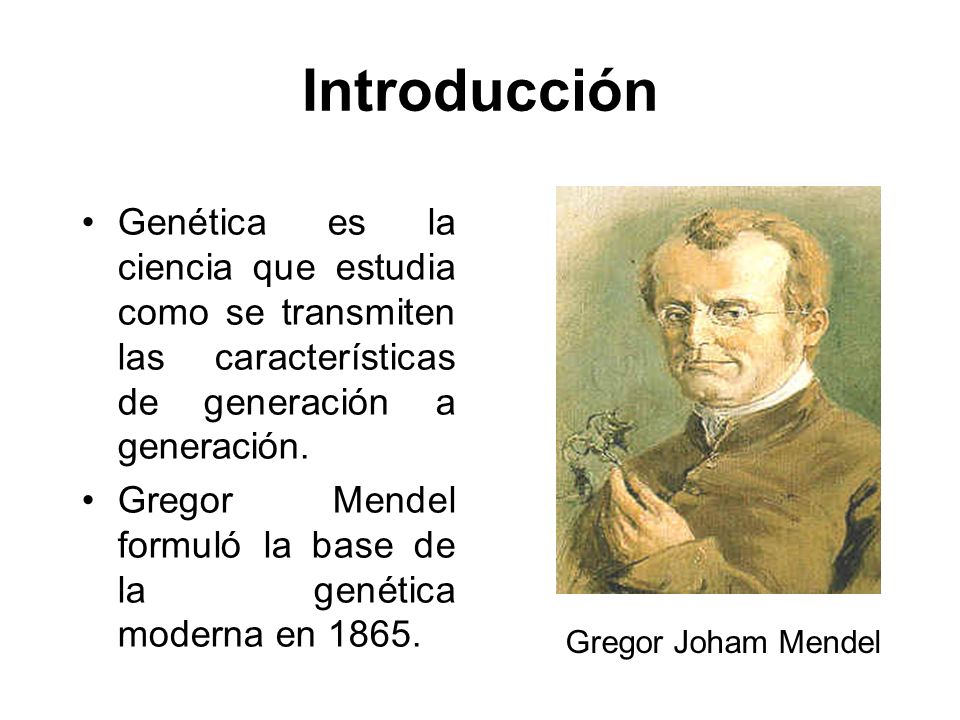 Introducción Genética es la ciencia que estudia como se transmiten las características de generación a generación.