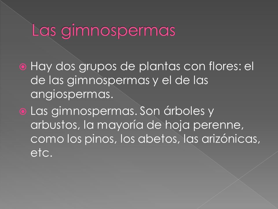 Las gimnospermas Hay dos grupos de plantas con flores: el de las gimnospermas y el de las angiospermas.