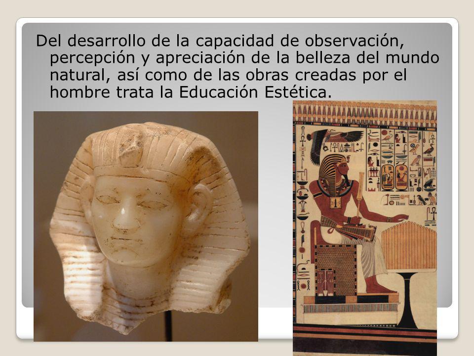 Del desarrollo de la capacidad de observación, percepción y apreciación de la belleza del mundo natural, así como de las obras creadas por el hombre trata la Educación Estética.