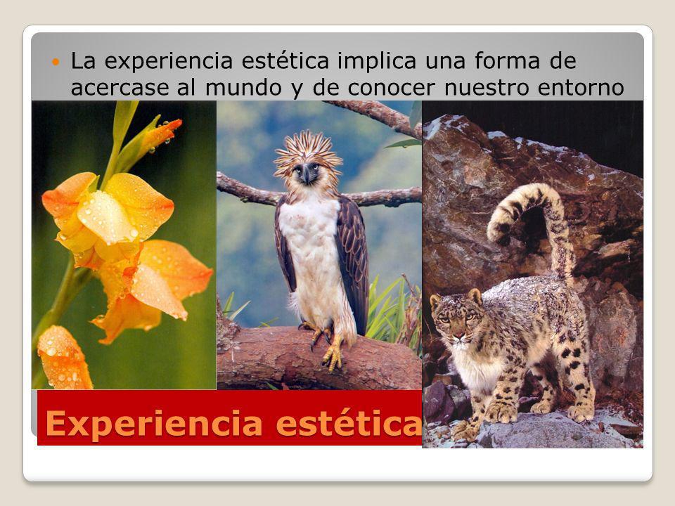 La experiencia estética implica una forma de acercase al mundo y de conocer nuestro entorno