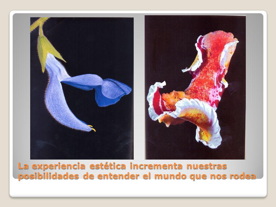 La experiencia estética incrementa nuestras posibilidades de entender el mundo que nos rodea