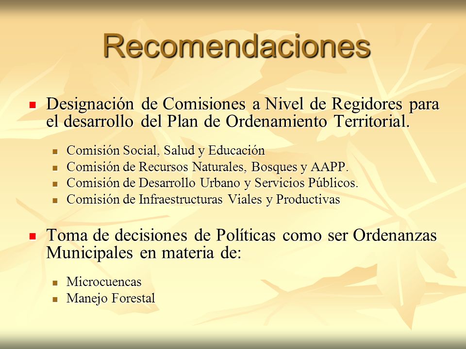 Recomendaciones Designación de Comisiones a Nivel de Regidores para el desarrollo del Plan de Ordenamiento Territorial.
