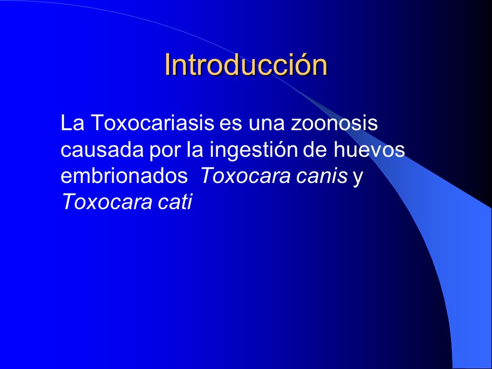 Introducción La Toxocariasis es una zoonosis causada por la ingestión de huevos embrionados Toxocara canis y Toxocara cati.