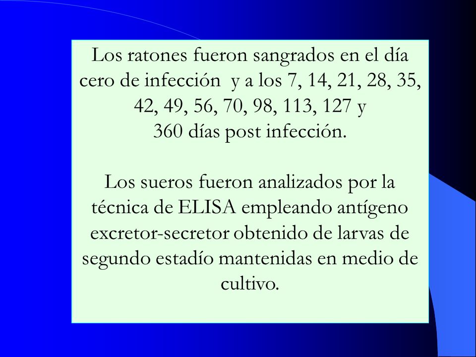 Los ratones fueron sangrados en el día cero de infección y a los 7, 14, 21, 28, 35, 42, 49, 56, 70, 98, 113, 127 y