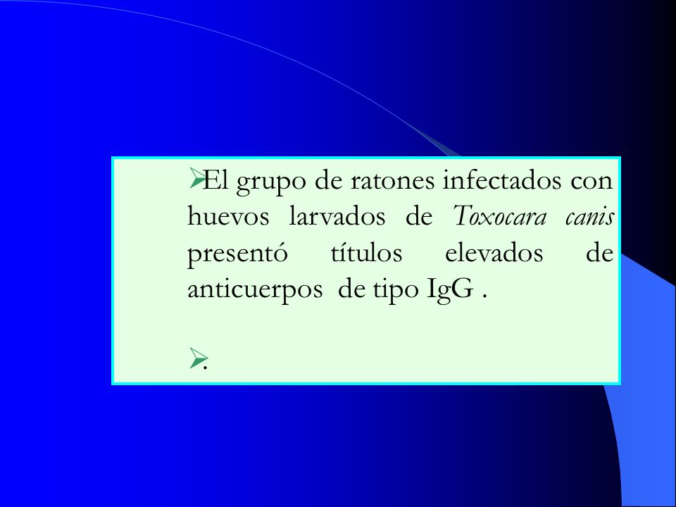 El grupo de ratones infectados con huevos larvados de Toxocara canis presentó títulos elevados de anticuerpos de tipo IgG .
