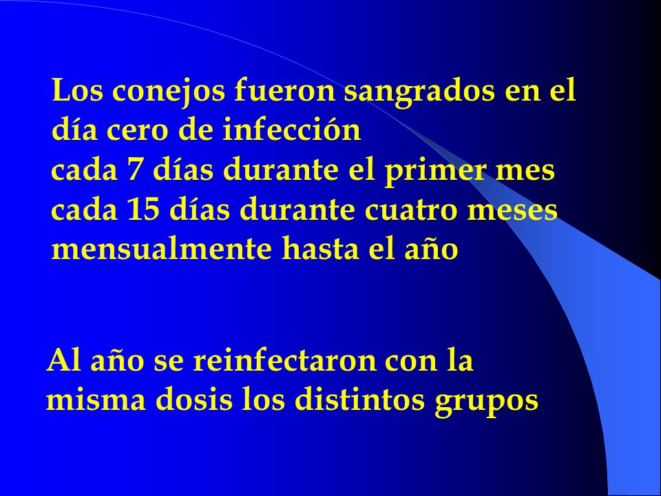 Los conejos fueron sangrados en el día cero de infección