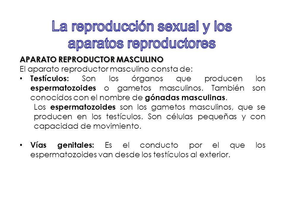 La reproducción sexual y los aparatos reproductores