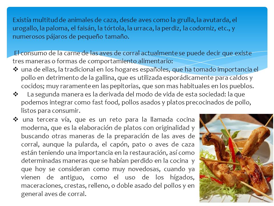 Existía multitud de animales de caza, desde aves como la grulla, la avutarda, el urogallo, la paloma, el faisán, la tórtola, la urraca, la perdiz, la codorniz, etc., y numerosos pájaros de pequeño tamaño.