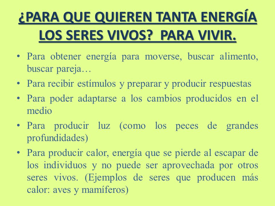 ¿PARA QUE QUIEREN TANTA ENERGÍA LOS SERES VIVOS PARA VIVIR.