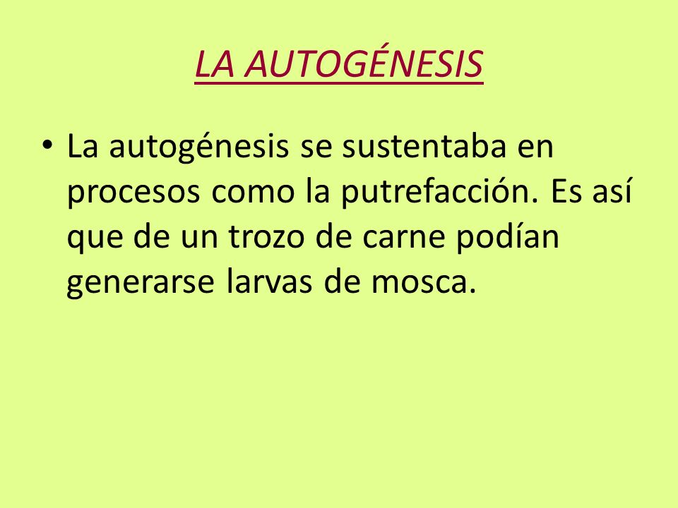 LA AUTOGÉNESIS La autogénesis se sustentaba en procesos como la putrefacción.