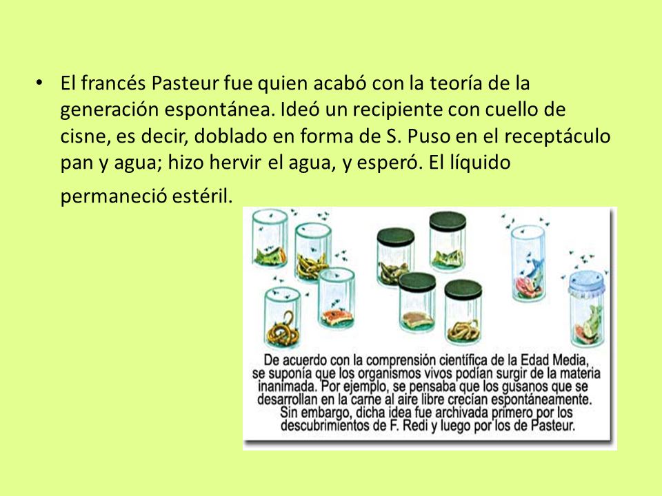 El francés Pasteur fue quien acabó con la teoría de la generación espontánea.