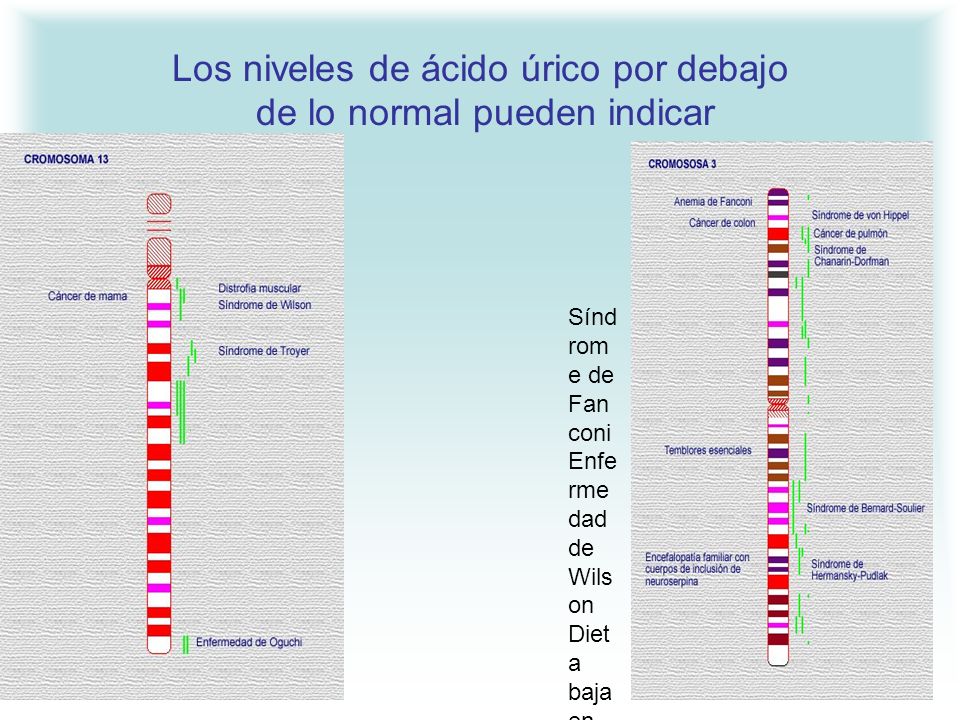 Los niveles de ácido úrico por debajo de lo normal pueden indicar