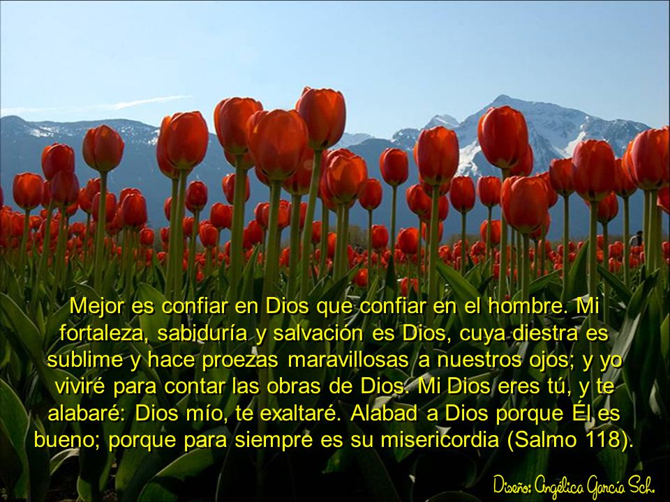 Mejor es confiar en Dios que confiar en el hombre