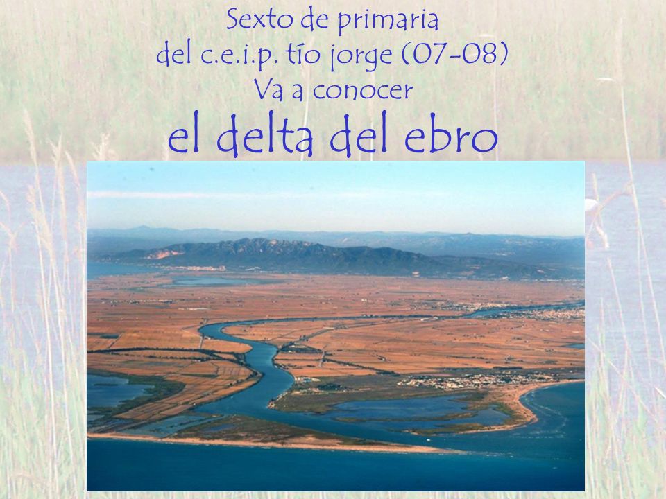 el delta del ebro Sexto de primaria del c.e.i.p. tío jorge (07-08)