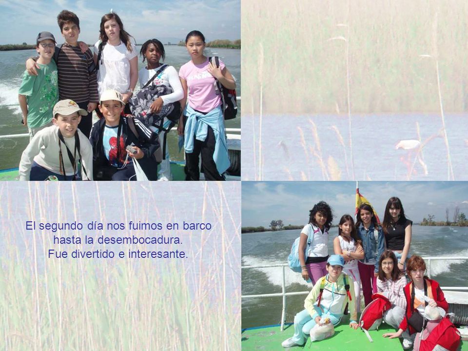 El segundo día nos fuimos en barco hasta la desembocadura.