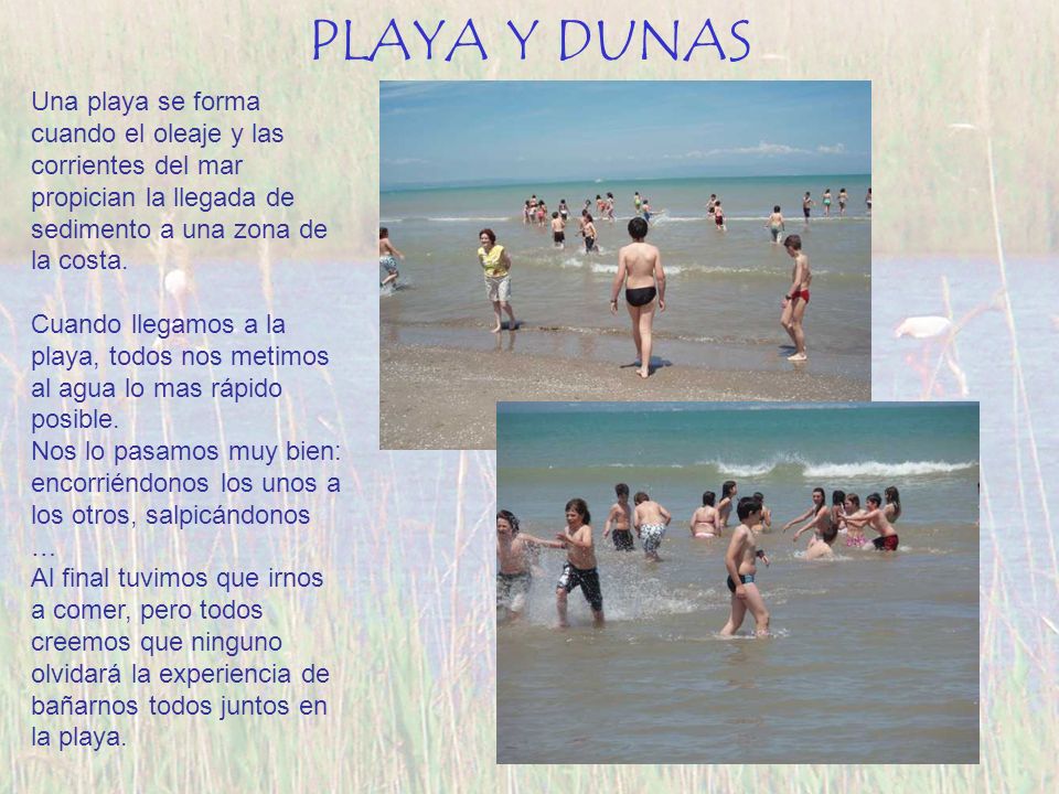PLAYA Y DUNAS Una playa se forma cuando el oleaje y las corrientes del mar propician la llegada de sedimento a una zona de la costa.